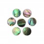 Cabochon Abalone rund flach 8mm x 1 Stück