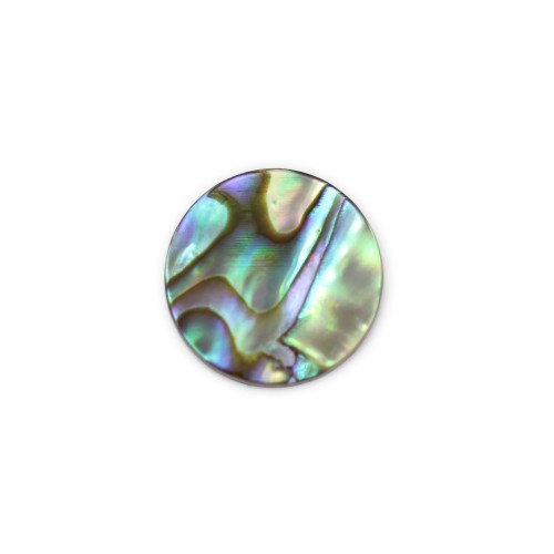 Cabochon Abalone rond plat 8mm x 1pc
