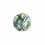 Cabochon Abalone rund flach 8mm x 1 Stück