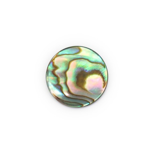 Flat round Abalone cabochon 10mm x 1pc