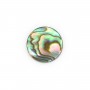 Cabochon Abalone tondo piatto 10mm x 1pz