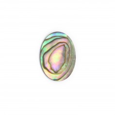 Cabochon Abalone ovale plat 13x18mm x 1pc