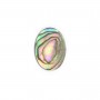 Cabochão Abalone oval plano 10x14mm x 1 peça