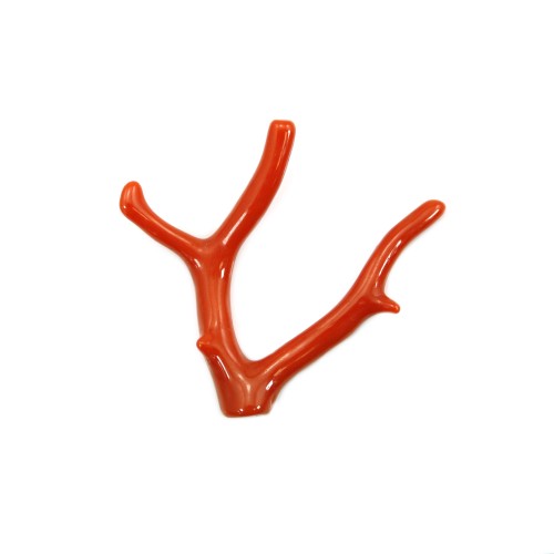 Ramo de coral vermelho natural 30-50mm x 1pc