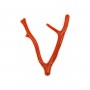 Corail rouge Naturel Branche 30-50mm x 1pc