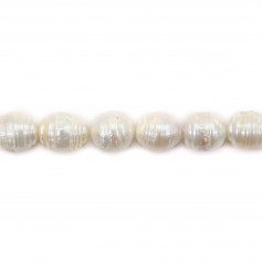 Perlas de agua dulce cultivadas, salmón, redondas planas, 15mm x 40cm