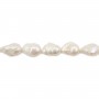 Freshwater cultured pearls, white, baroque, 13-14mm x 40cm