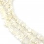 White mother-of-pearl chips x 39cm