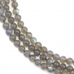 Labradorite Ronde 6mm x 40cm 