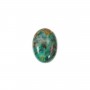 Cabochon chrysocolle ovale 10x14mm x 1pc