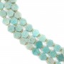 Amazonite del Perù esagono piatto 14mm x 38cm