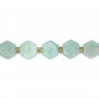 Peruvian amazonite flat hexagon 14mm x 38cm