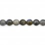 Labradorite Round 8mm x 40cm