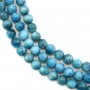 Round Apatite 10mm x 40cm