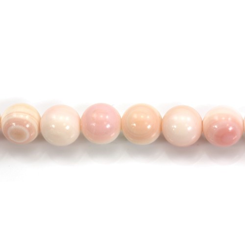 Lambi rose rond 8mm x 40cm