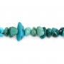 Turquoise en forme chips x 80cm