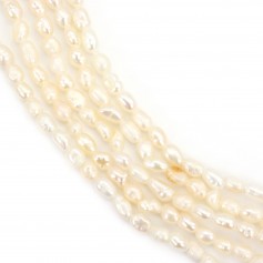 Perle d'eau douce saumon ovale 1.5-2mm x 39cm