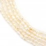Perle d'eau douce saumon ovale 1.5-2mm x 39cm