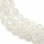 Gemstone Round Moonstone 9-10mm x 40mm