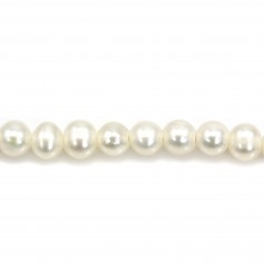 Perles de culture d'eau douce, blanche, semi-ronde 3mm x 40cm