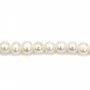 Perles de culture d'eau douce, blanche, semi-ronde 3mm x 40cm