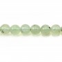 Prehnite Rotonda