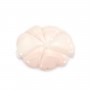 Pink carved conch shell flower 30x40mm x 1pc