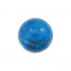 Cabochon Apatite tondo 10mm x 1pz