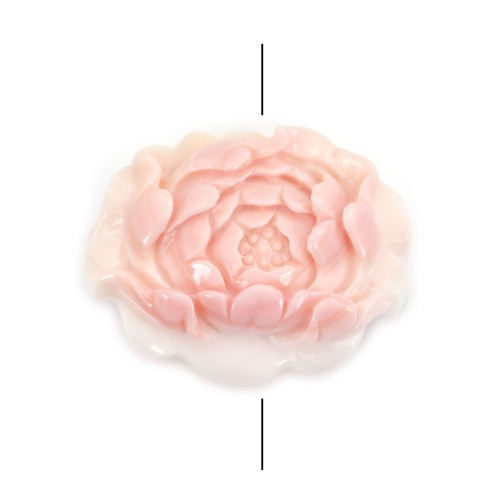 Lambi rosa esculpida em flor 30x40mm x 1 unidade
