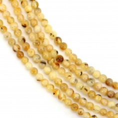 Ambra tonda 3mm x 36cm