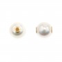 Japanese Akoya Cultured Pearl Pendant Round 8-8.5mm - Gold Filled x 1pc