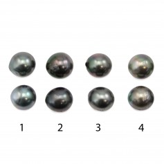 Tahitian cultured pearl, half-round, 9.5-10mm x 2pcs
