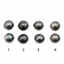 Tahitian cultured pearl, half-round, 9.5-10mm x 2pcs