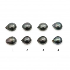 Perla de cultura de Tahití, gota, 11-12mm x 2 uds.