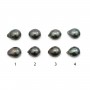 Perle de culture de Tahiti, goutte, 11-12mm x 2pcs