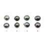 Tahitian cultured pearl, half-round, 9-9.5mm, quality B x 2pcs
