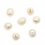 Perla di acqua dolce, bianca, oliva, 10-11mm x 1pz