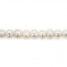 Freshwater cultured pearl, white, semi-round, 7-7.5mm x 39cm