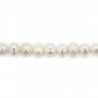 Perle de culture d'eau douce, weiß, halb-rund, 7-7.5mm x 39cm