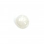 Cabochon pierre de lune tondo 10mm x 1pz