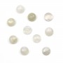 Cabochon pierre de lune tondo 10mm x 1pz