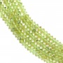 Peridoto rondelle abacus facetado 2x3mm em fio 39cm
