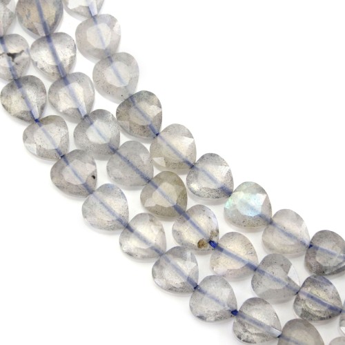 Faceted rounded triangle Labradorite 6mm x 39cm