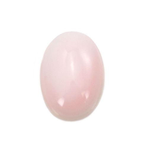 Oval pink Lambi shell cabochon 13x18mm x 1pc