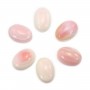 Camafeu de Concha rosa oval 13x18mm x 1 unidade