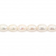 Perlas de agua dulce blancas ovaladas 7x9-8x10mm x 40cm