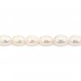 Perles d'eau douce blanches ovale 7x9-8x10mm x 40cm