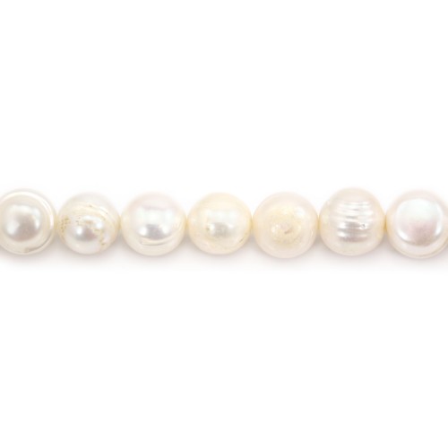 Perles de culture d'eau douce, blanche, ovale/irrégulière, 11-13mm x 37cm