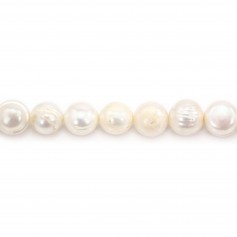 Perlas de agua dulce cultivadas, blancas, ovaladas/irregulares, 11-13mm x 37cm.