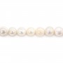 Freshwater cultured pearls, white, oval/irregular, 11-13mm x 37cm